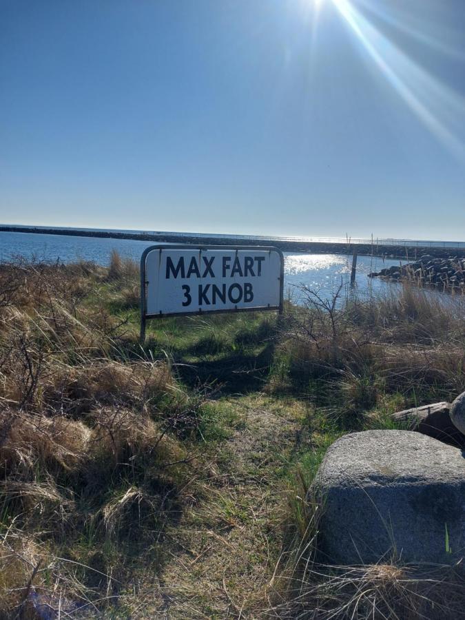 Kragkaer Deer-Lodge B&B A Unique Holiday Home Sæby Eksteriør bilde